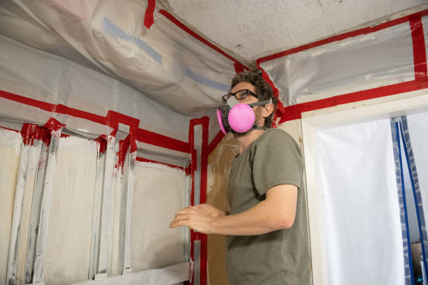 Reliable Madison, WV Mold Removal Solutions