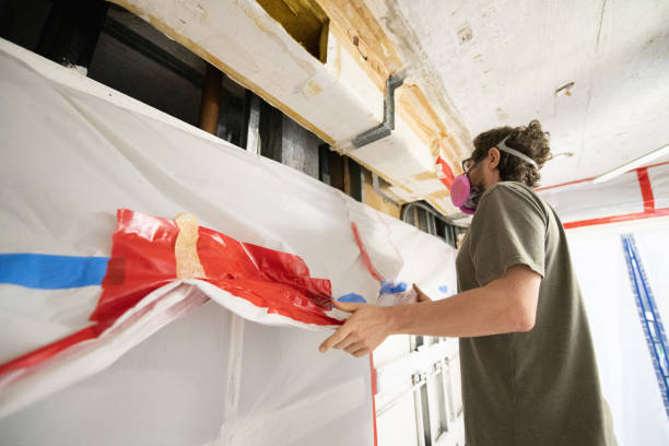 Best Mold Removal for HVAC Installations  in Madison, WV