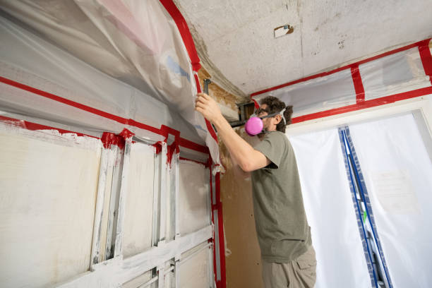 Best Mold-Related Health Consultation  in Madison, WV