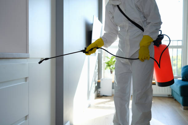 Best Residential Mold Inspection & Testing  in Madison, WV
