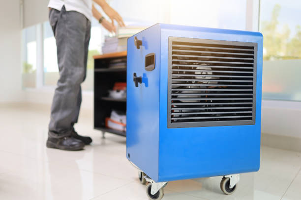 Best Mold Remediation for Healthcare Facilities  in Madison, WV