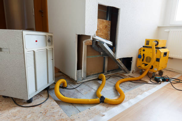 Mold Removal for HVAC Installations in Madison, WV