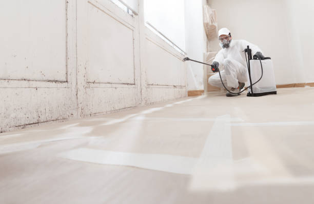 Best Biohazard Mold Removal  in Madison, WV